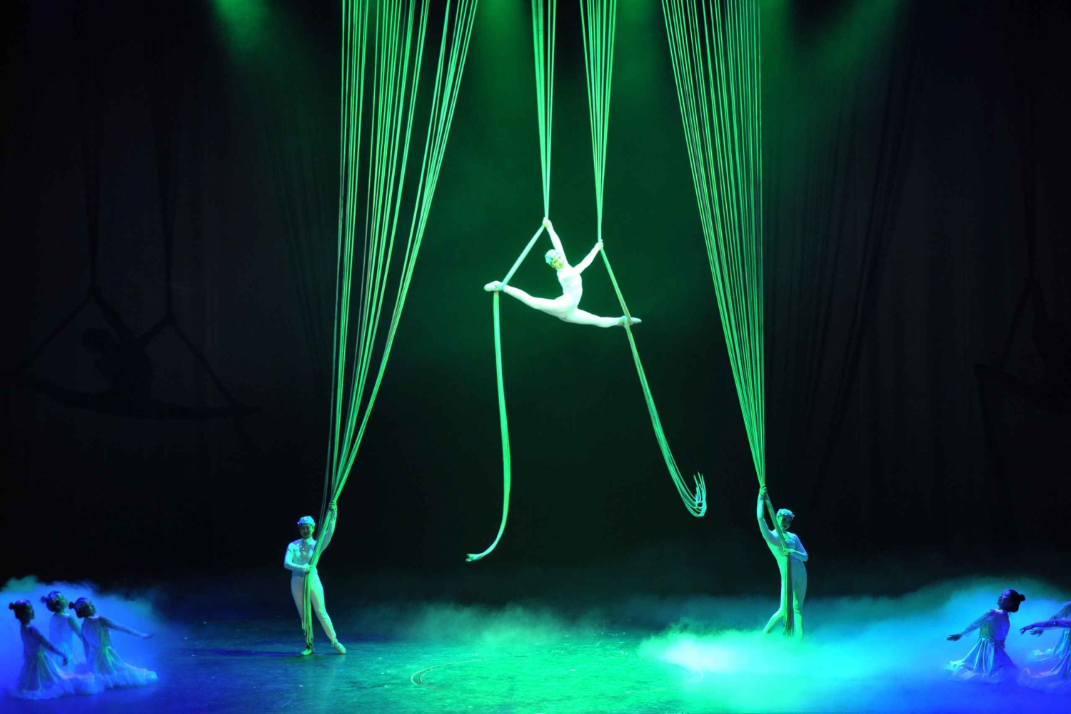 Beijing Night Tour with Acrobatics Show & PekingDuck Dinner