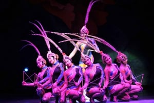 Nocna wycieczka po Pekinie z pokazem akrobatycznym i kolacją z kaczką po pekińsku