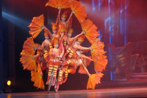 Beijing Night Tour with Acrobatics Show & PekingDuck Dinner