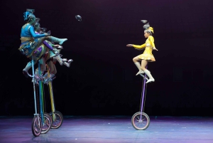 Beijing Night Tour with Acrobatics Show & PekingDuck Dinner
