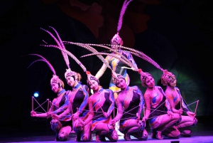 Beijing Night Tour with Acrobatics Show & PekingDuck Dinner