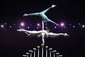 Beijing Night Tour with Acrobatics Show & PekingDuck Dinner