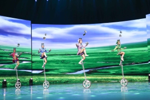 Beijing Night Tour with Acrobatics Show & PekingDuck Dinner