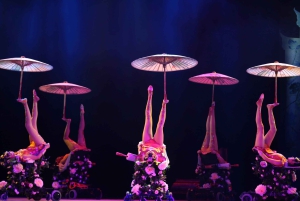 Beijing Night Tour with Acrobatics Show & PekingDuck Dinner
