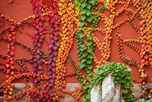 Pekin: prywatna wycieczka do Wielkiego Muru i POPLand Labubu Strona główna