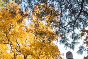 Peking: Guidad promenad på Pekings universitetscampus