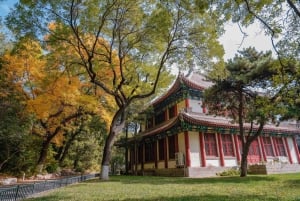 Peking: Guidad promenad på Pekings universitetscampus