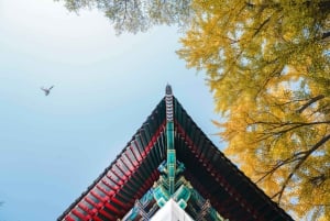 Peking: Guidad promenad på Pekings universitetscampus