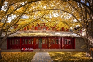 Peking: Guidad promenad på Pekings universitetscampus