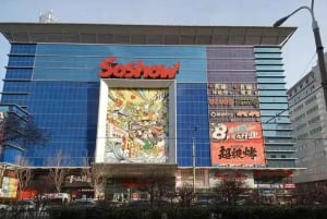 Pequim: City Tour Privado pela Pop Mart City e Mercado de Produtos de Anime