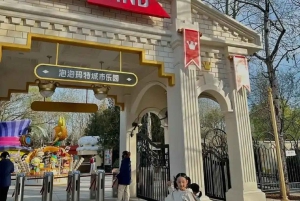 Pechino: tour privato della città di Pop Mart e del mercato dei prodotti anime