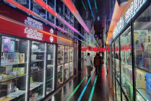 Pechino: tour privato della città di Pop Mart e del mercato dei prodotti anime