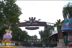 Pechino: tour privato della città di Pop Mart e del mercato dei prodotti anime