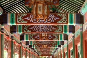 Peking - ett museum Instagram-värd biljett till prins Kungens palatsmuseum
