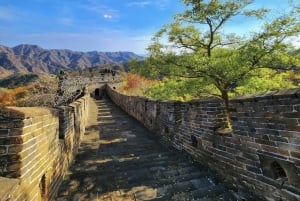 Beijing Mutianyu Great Wall & Sommerpaladset All Inclusive-tur