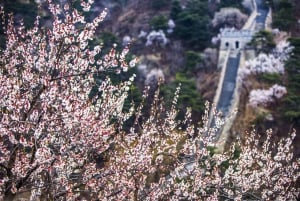 Pechino: trasferimento privato andata e ritorno alla Grande Muraglia Cinese