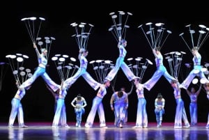 Pechino: Tour panoramico privato di notte con trasferimento