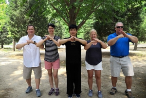 Privater Tai Chi Unterricht in Peking