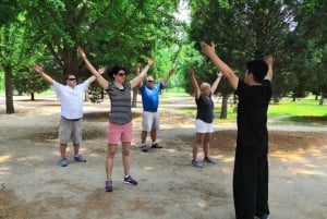 Privater Tai Chi Unterricht in Peking