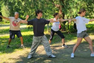 Privater Tai Chi Unterricht in Peking