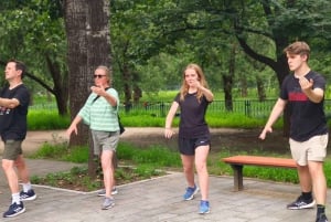 Privater Tai Chi Unterricht in Peking
