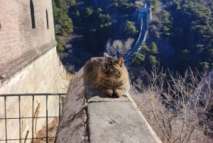 Pekingin yksityinen kierros: Mutianyun Kiinan muuri ja Kielletty kaupunki