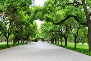 Beijing：Forbidden City & Temple of Heaven/Summer Palace Tour