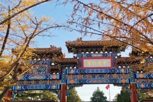 Pechino: tour privato della Città Proibita e del Tempio del Cielo