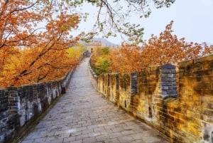 Pekin: prywatna wycieczka do Wielkiego Muru i POPLand Labubu Strona główna