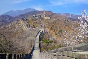 Beijing: Private Tour with Licensed Guide and Transfer