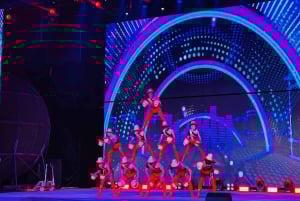 Beijing: Qinle Palace Acrobatics Show Ticket