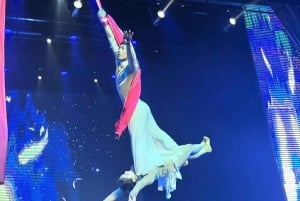 Beijing: Qinle Palace Acrobatics Show Ticket