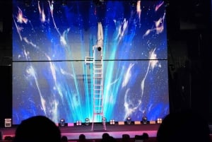 Beijing: Qinle Palace Acrobatics Show Ticket