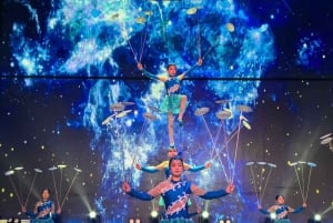 Beijing: Qinle Palace Acrobatics Show Ticket