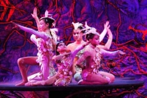 Biljetter till akrobatisk show på Red Theatre Beijing