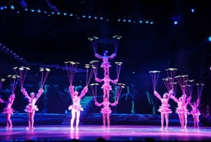Biljetter till akrobatisk show på Red Theatre Beijing