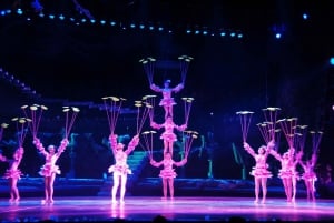 Biljetter till akrobatisk show på Red Theatre Beijing