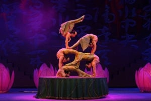 Pekín: Red Theatre Acrobatics Show Ticket de entrada-Local Must-See