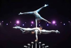 Peking: Red Theatre Akrobatik-Show Ticket-Local Must-See