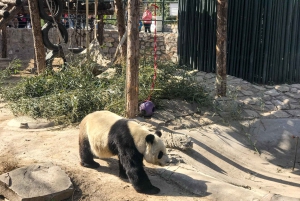 Beijing: Romantisk privat spasertur i Sommerpalasset