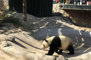 Beijing: Romantisk privat spasertur i Sommerpalasset