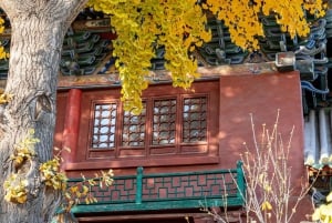 Beijing’s Hidden Delights: Dong Si Hutong Food Tour