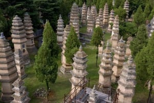 Beijing: Shaolin Temple Day Tour by Round Trip Bullet Train