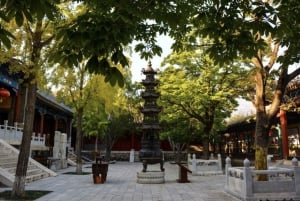 Beijing: Shaolin Temple Day Tour by Round Trip Bullet Train