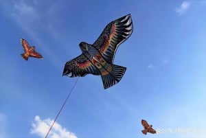 Beijing: Shichahai, prins Gongs herskapshus og drakemaling