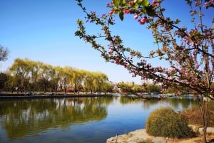 Peking: Eintrittskarte für den Sommerpalast (mit anderen Optionen)