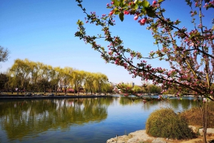 Peking: Inträdesbiljett till Sommarpalatset (med andra alternativ)