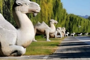 Peking: Kesäpalatsin pääsyliput kuljetusvaihtoehdoilla