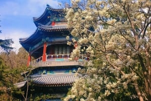 Beijing: wandeltour langs de hoogtepunten van het Zomerpaleis