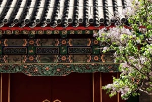 Peking: Sisäänpääsylippu kesäpalatsiin ja valinnainen opastettu kierros